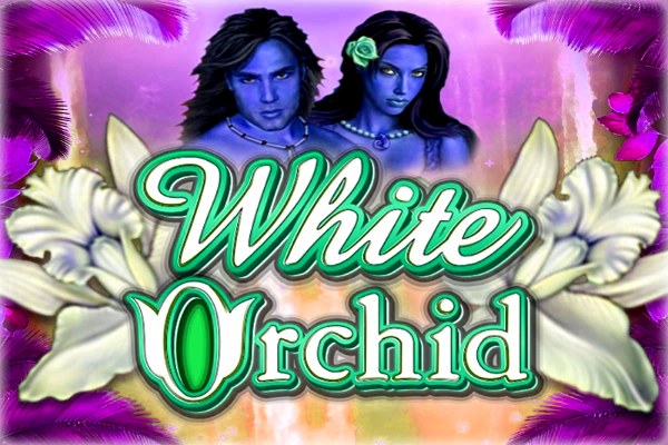 White Orchid Demo Slot